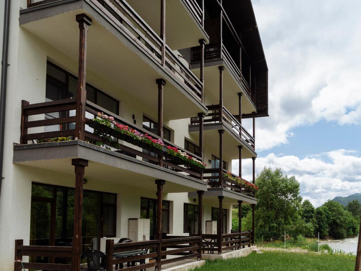 Nature Loft By The River Buşteni Extérieur photo